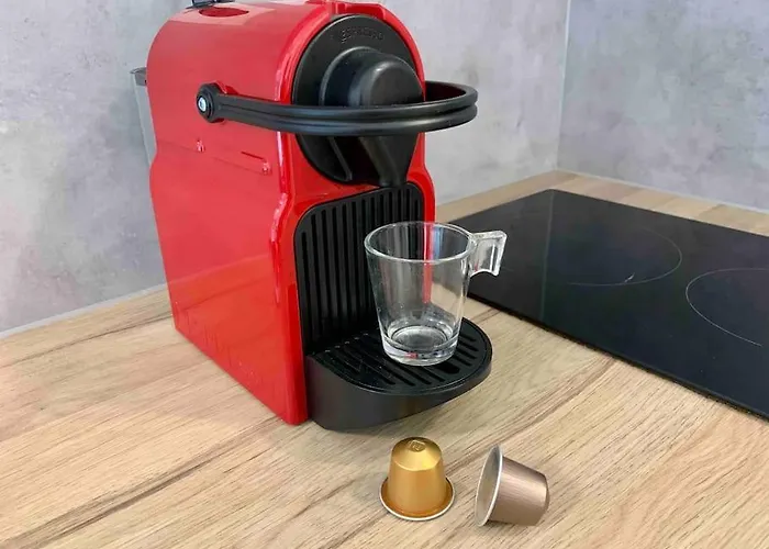 Apartmento com 1 dormitório